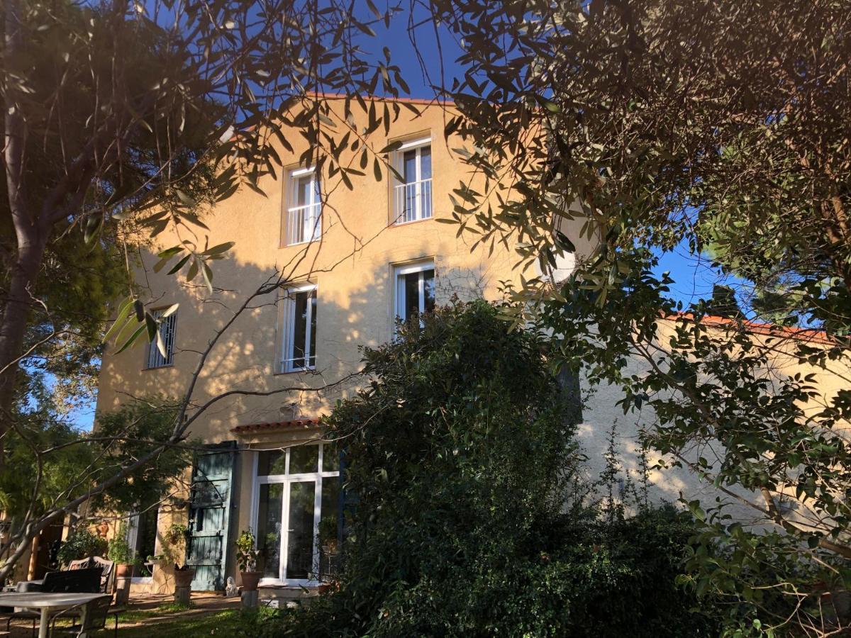 Duplex 130M2 Dans Un Mas Entoure De Vergers - Piscine Saint-Feliu-d'Avall Eksteriør bilde